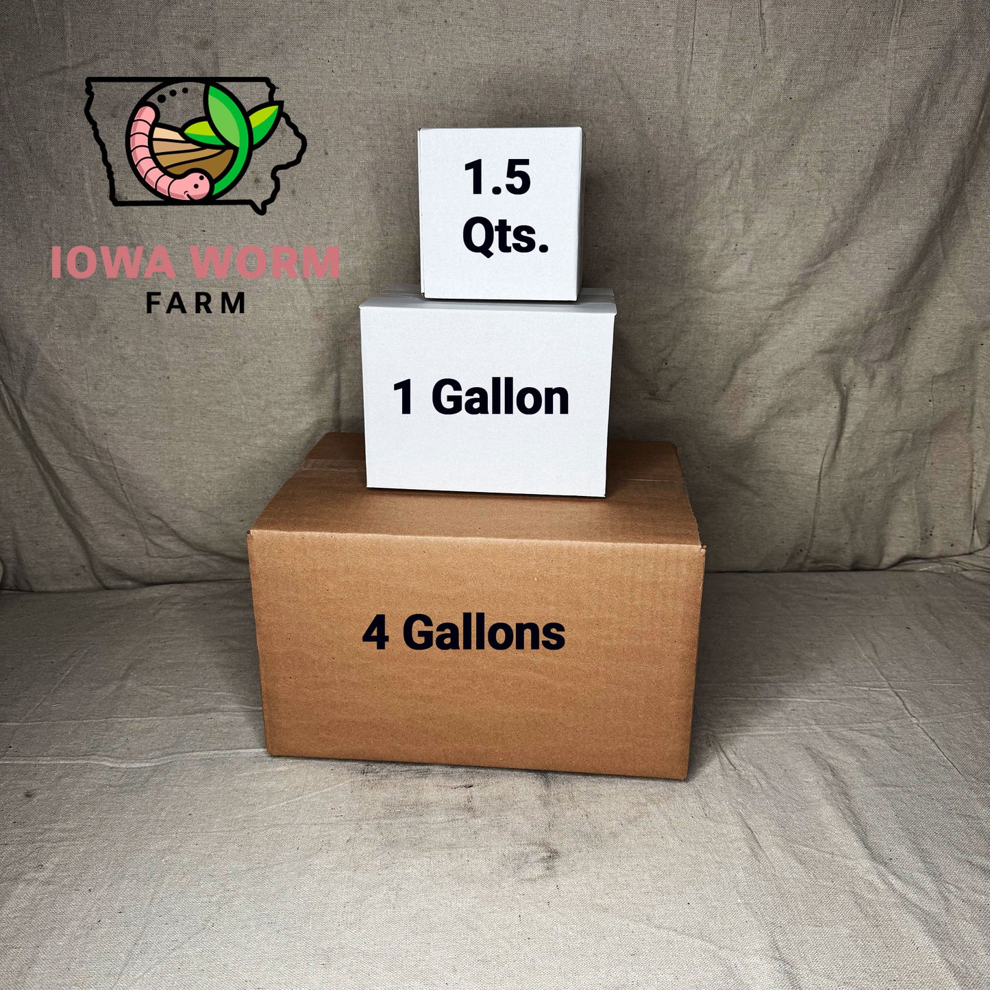 BioBoost – Premium Biochar Soil Amendment