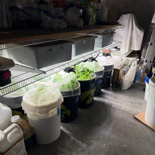 Values in the Wild (A Weekend Story)