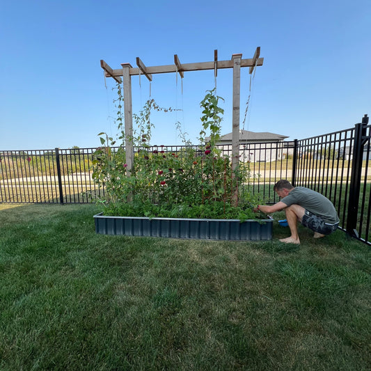 The Detour and the Way Back