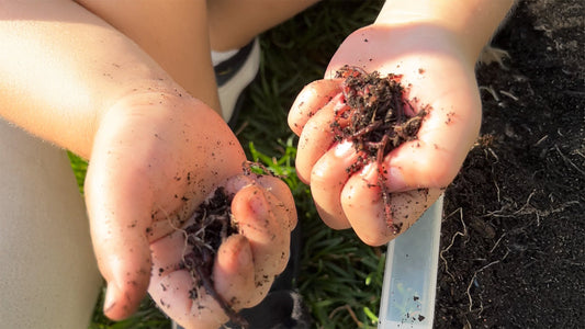 The Bucket That Changed Everything