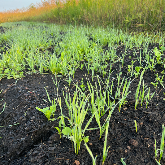 Saying Goodbye to 46: Time, Growth, and One Chance at Today