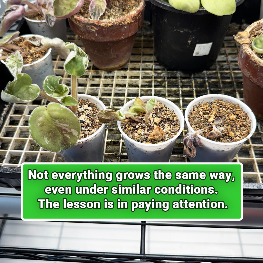 Education Costs Money