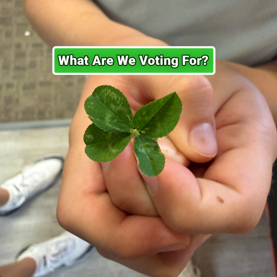 What Are We Voting For?