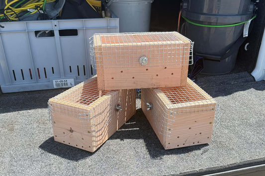 Three smaller IMO collection boxes.