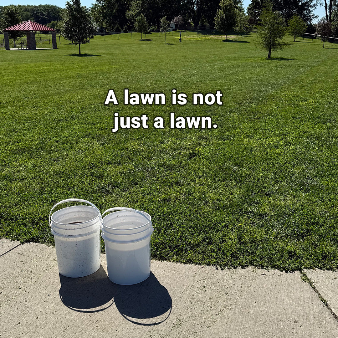 A Lawn Is Not Just a Lawn