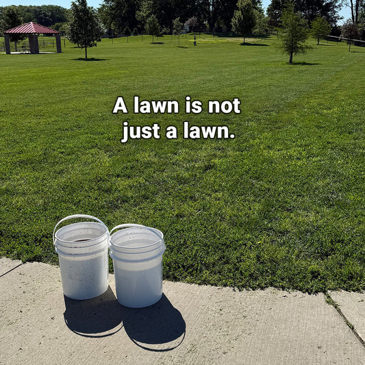 A Lawn Is Not Just a Lawn